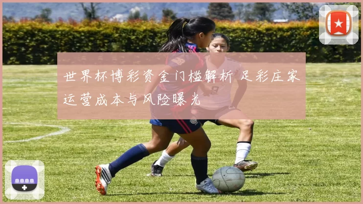 世界杯博彩资金门槛解析 足彩庄家运营成本与风险曝光