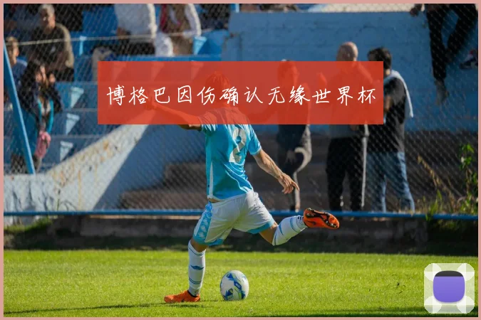博格巴因伤确认无缘世界杯
