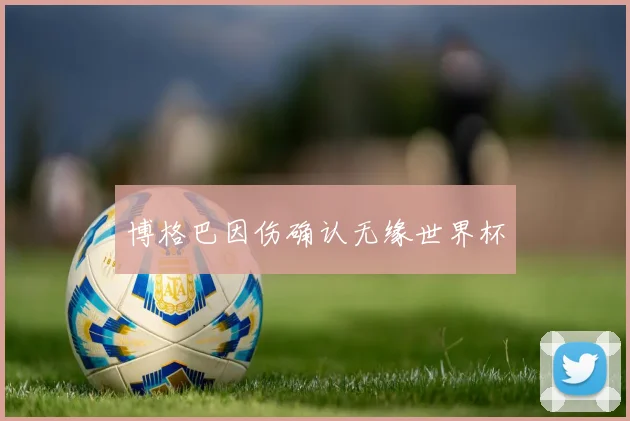 博格巴因伤确认无缘世界杯